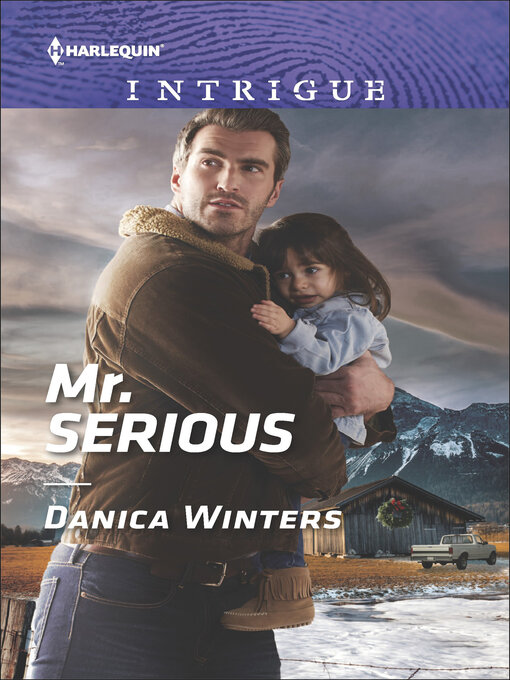 Title details for Mr. Serious by Danica Winters - Wait list